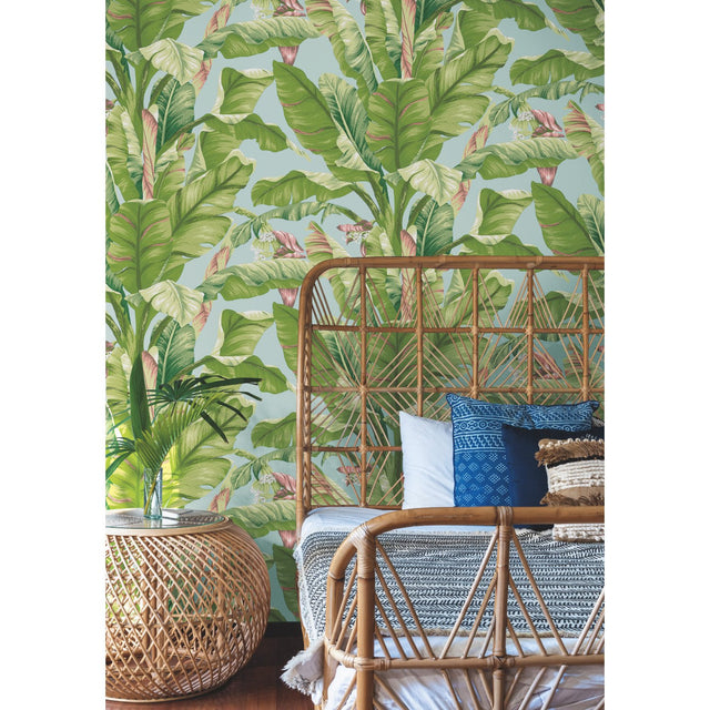 Banana Leaf Aqua & White Wallpaper with Tropical Banana Leaf Motif - York AT7070