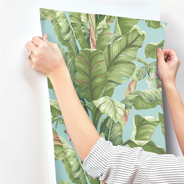 Banana Leaf Aqua & White Wallpaper with Tropical Banana Leaf Motif - York AT7070