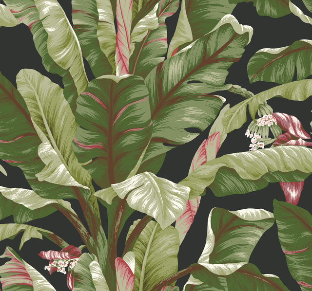 Banana Leaf Black & Red Wallpaper with Tropical Banana Leaf Motif - York AT7071