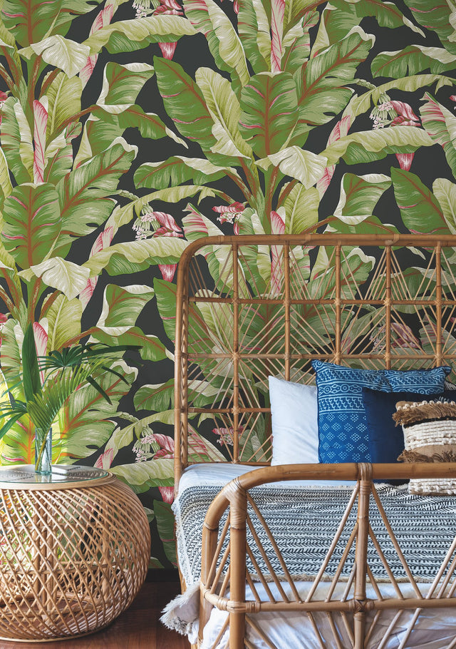 Banana Leaf Black & Red Wallpaper with Tropical Banana Leaf Motif - York AT7071