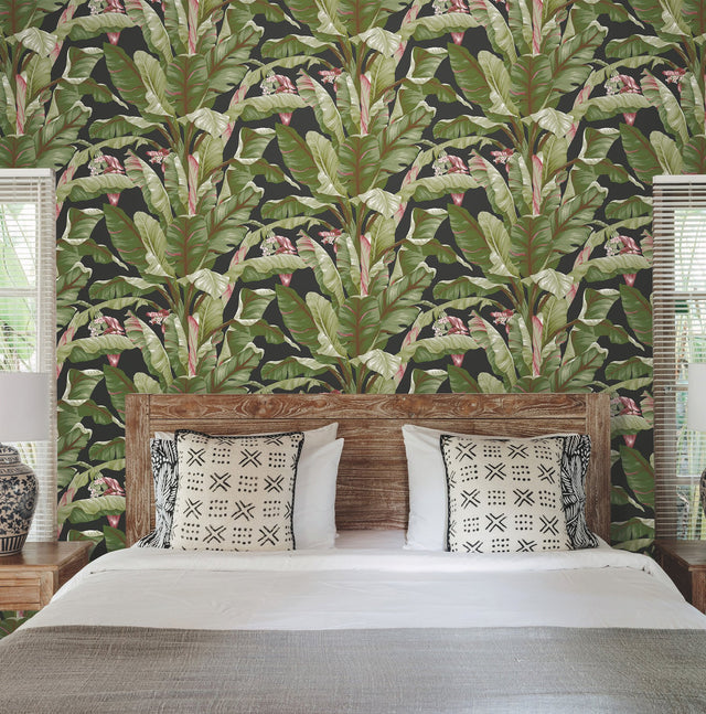 Banana Leaf Black & Red Wallpaper with Tropical Banana Leaf Motif - York AT7071