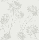 Wild Grass botanical wallpaper in Chardonnay (BD50200) by Seabrook Designs