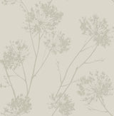 Champagne botanical wallpaper with delicate wild grass silhouettes and a subtle semi-gloss finish.