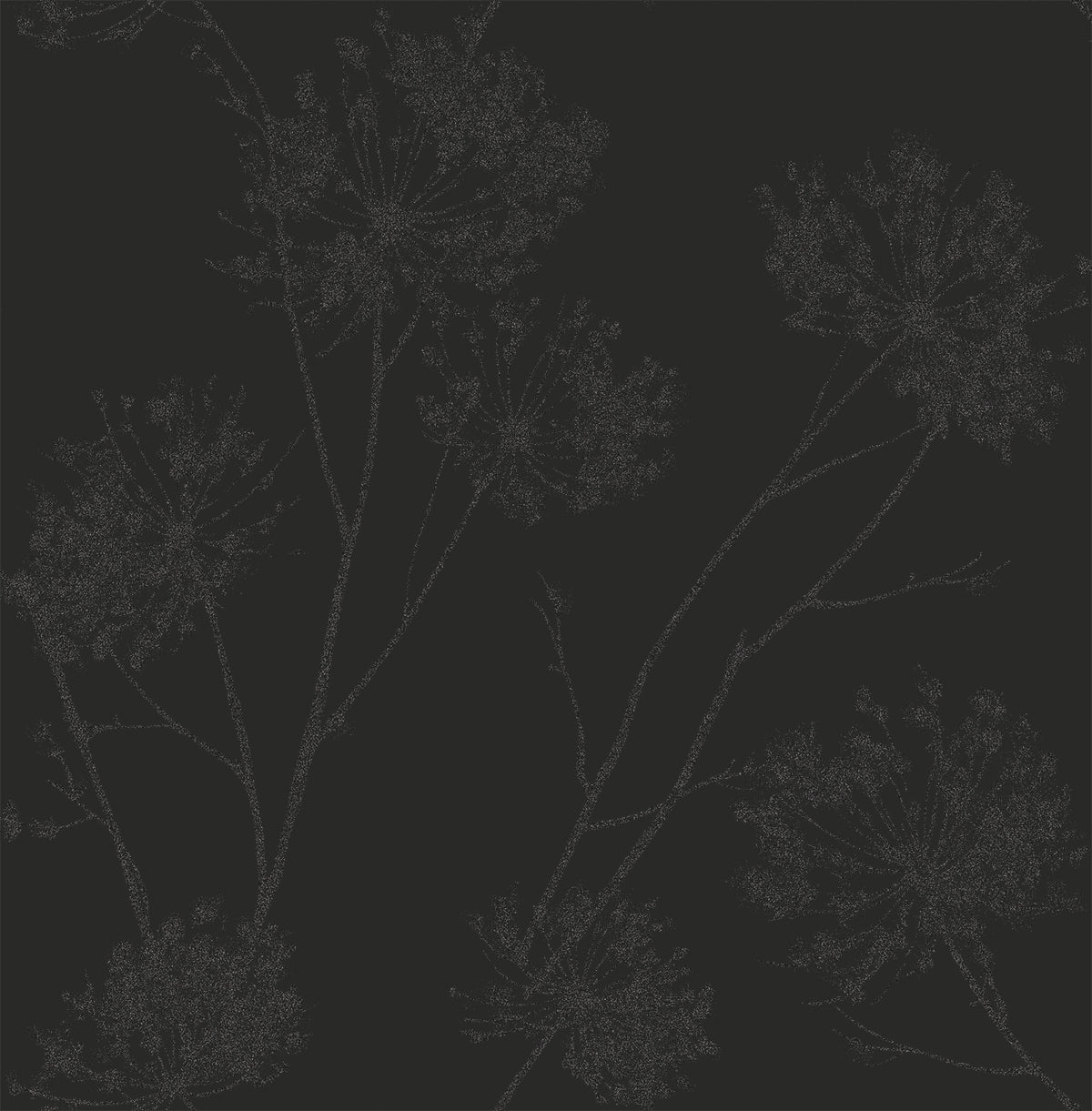 Wild Grass in Midnight Galaxy botanical wallpaper with delicate floral silhouettes on a deep black background
