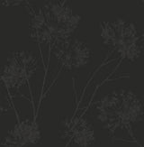 Wild Grass in Midnight Galaxy botanical wallpaper with delicate floral silhouettes on a deep black background