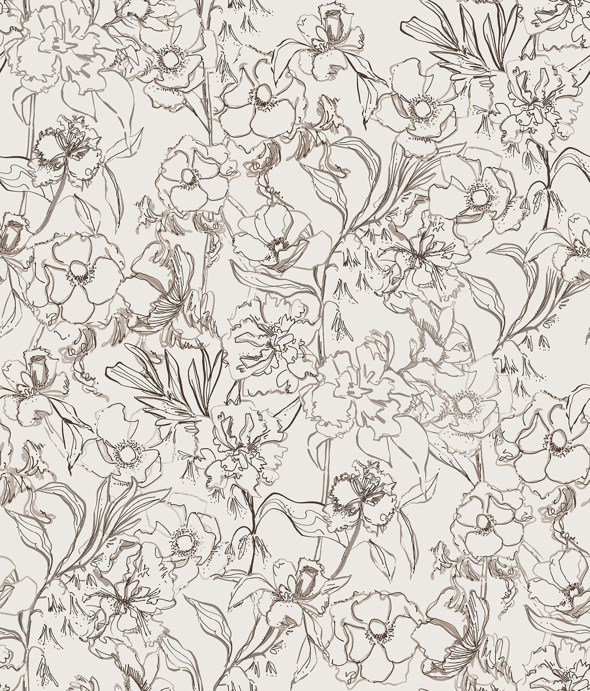 May Bloom Brown Peel & Stick Wallpaper with Botanical Floral Linework - Brewster BDS6081