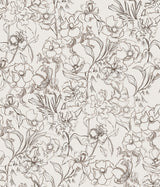 May Bloom Brown Peel & Stick Wallpaper with Botanical Floral Linework - Brewster BDS6081
