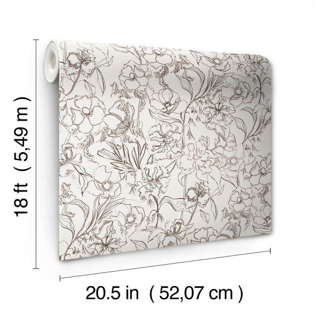 May Bloom Brown Peel & Stick Wallpaper with Botanical Floral Linework - Brewster BDS6081