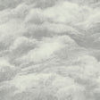 Belgravia Decor Nimbostratus Pewter Cloud Wallpaper roll and room scene