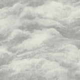 Belgravia Decor Nimbostratus Pewter Cloud Wallpaper roll and room scene