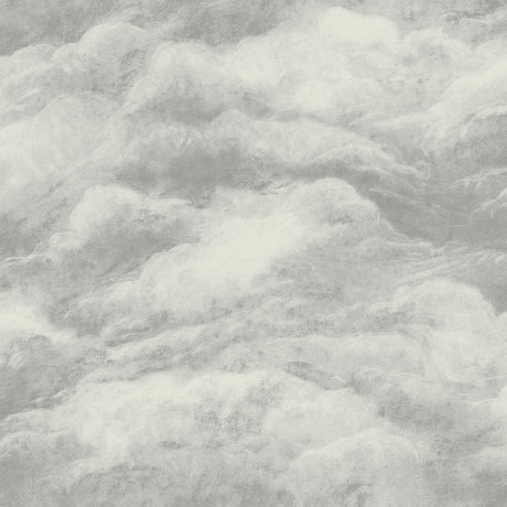 Belgravia Decor Nimbostratus Pewter Cloud Wallpaper roll and room scene