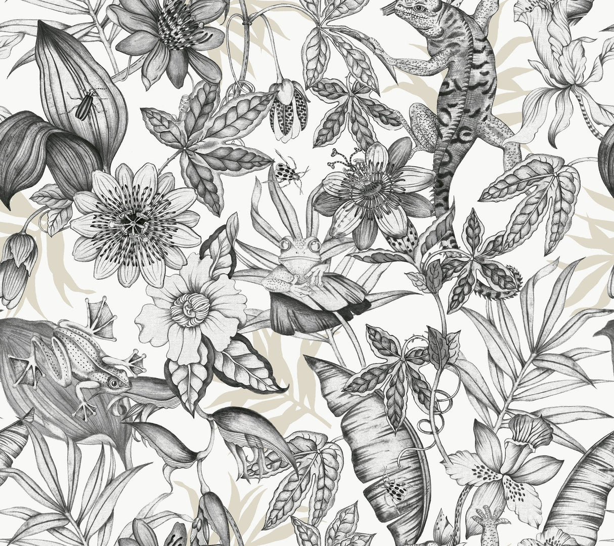 Rainforest White & Charcoal Wallpaper with Tropical Flora and Fauna Motif - York BL1703