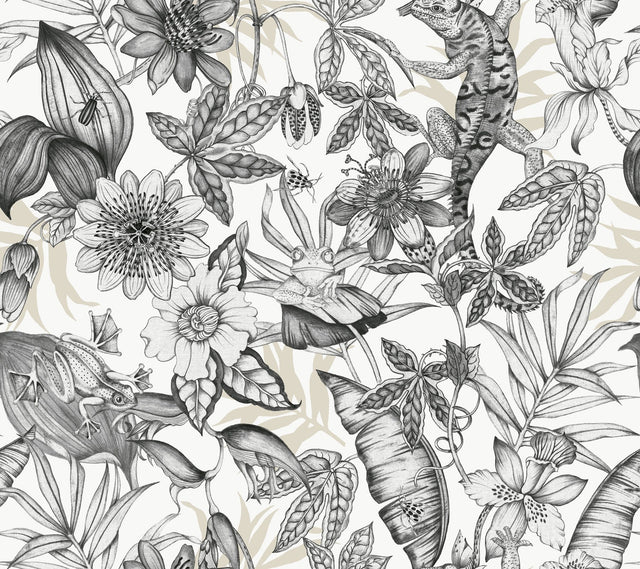 Rainforest White & Charcoal Wallpaper with Tropical Flora and Fauna Motif - York BL1703