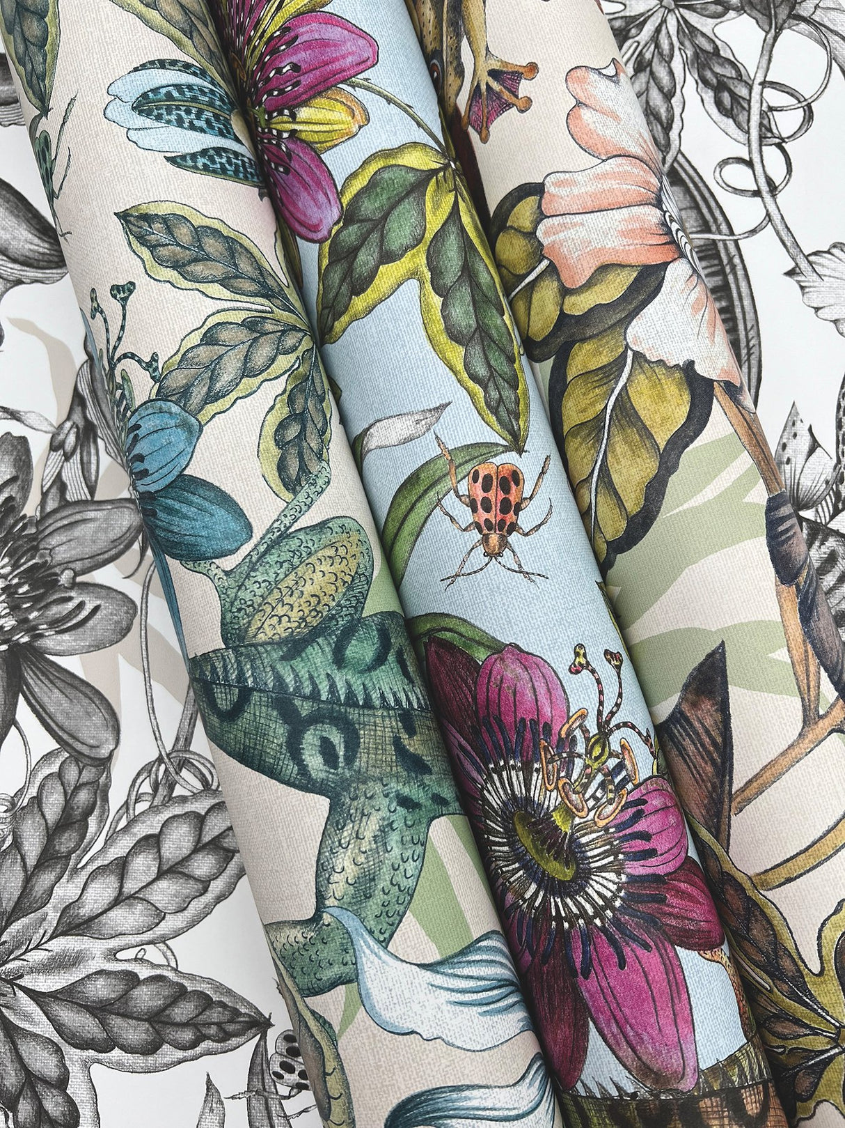 Rainforest Multicolor Wallpaper with Tropical Animals and Florals - York BL1705
