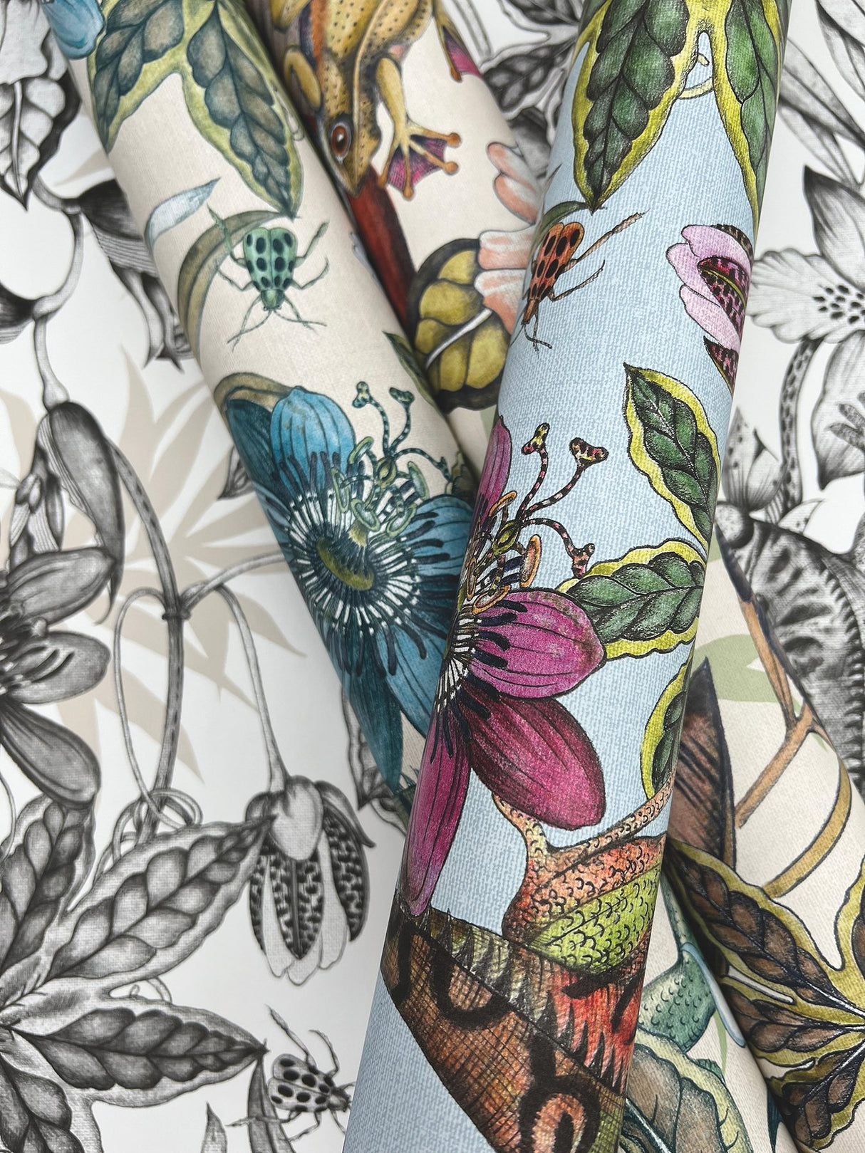 Rainforest Multicolor Wallpaper with Tropical Animals and Florals - York BL1705