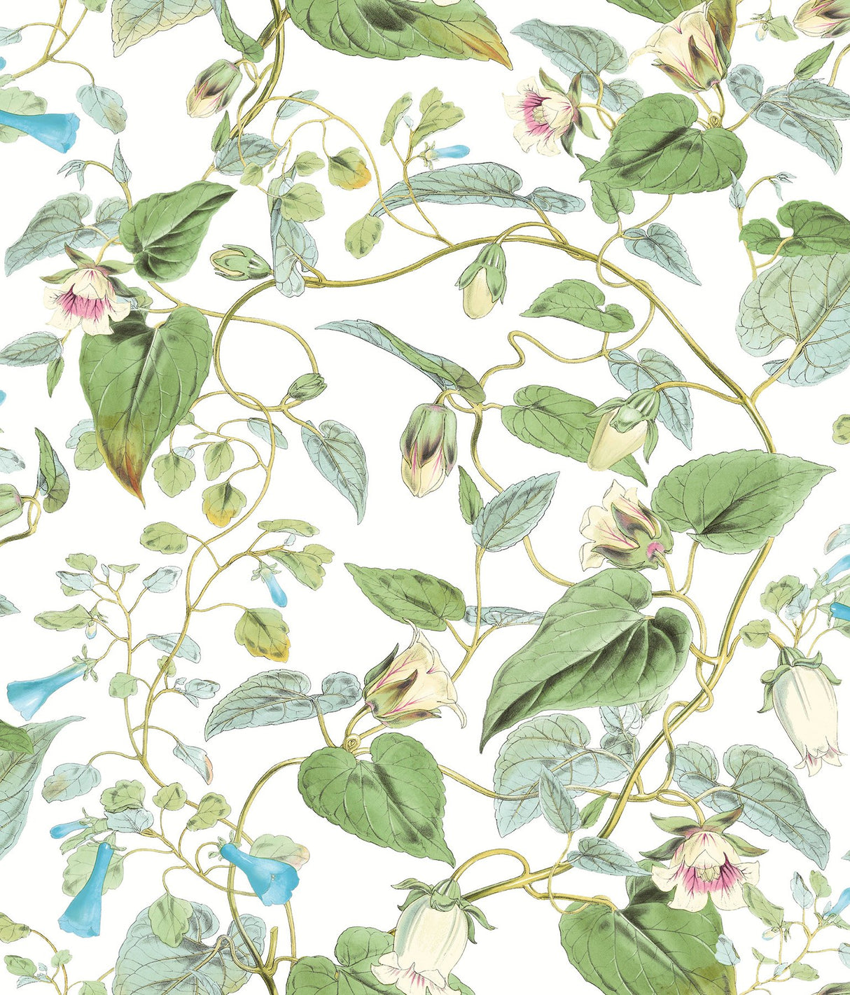 Moon Flower White Wallpaper with Botanical Vine Floral - York BL1711