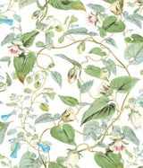 Moon Flower White Wallpaper with Botanical Vine Floral - York BL1711