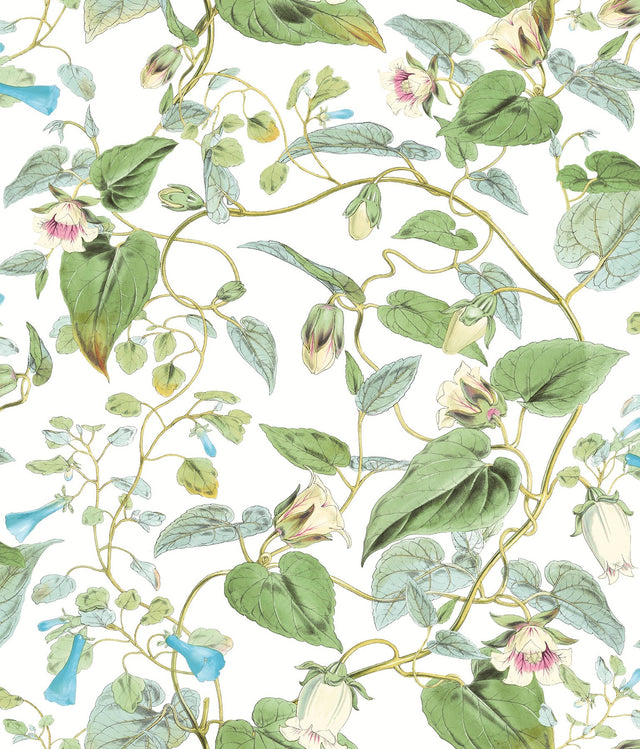 Moon Flower White Wallpaper with Botanical Vine Floral - York BL1711