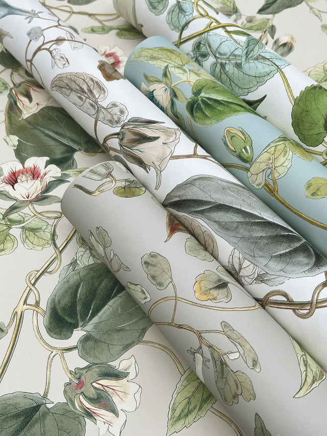 Moon Flower White Wallpaper with Botanical Vine Floral - York BL1711