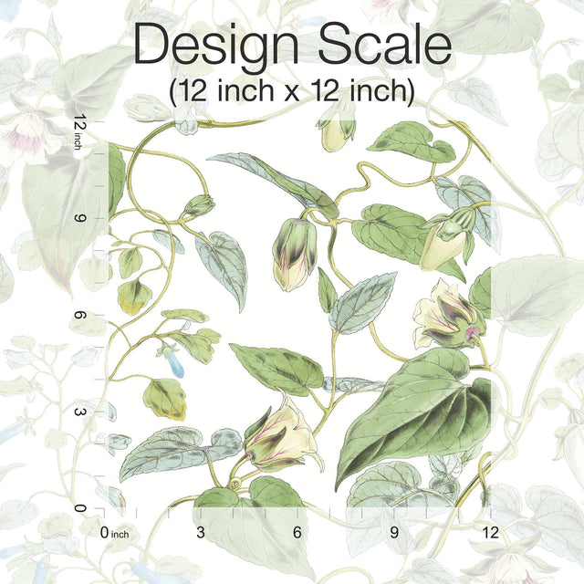 Moon Flower White Wallpaper with Botanical Vine Floral - York BL1711