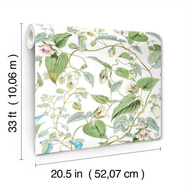 Moon Flower White Wallpaper with Botanical Vine Floral - York BL1711