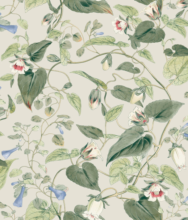 Moon Flower Light Taupe Wallpaper with Floral Vine Pattern - York BL1713