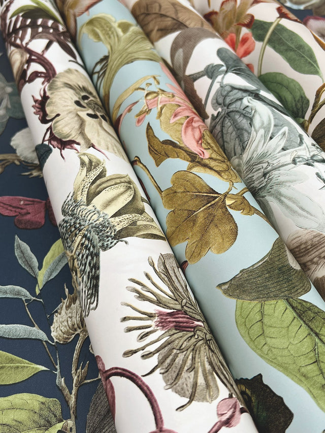 Butterfly House White & Fuchsia Wallpaper with Botanical Floral and Butterfly Motif - York BL1721