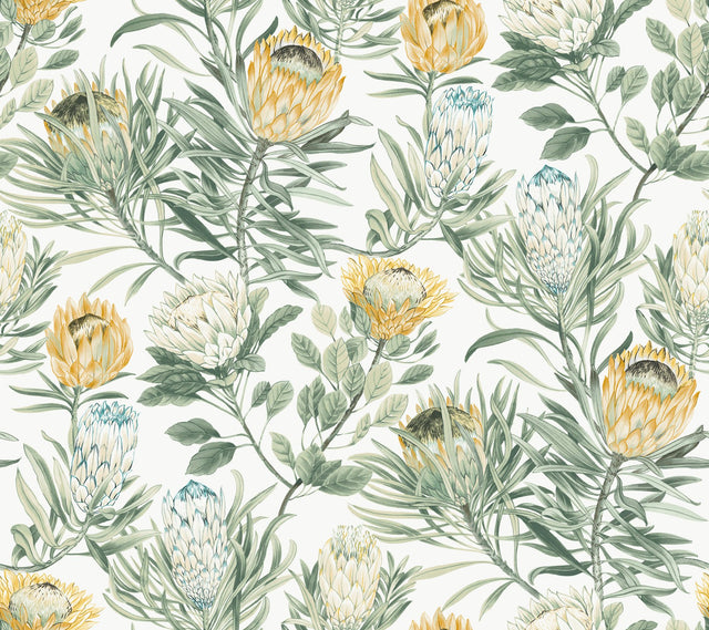 Protea White & Yellow Wallpaper with Floral Protea Motif - York BL1754