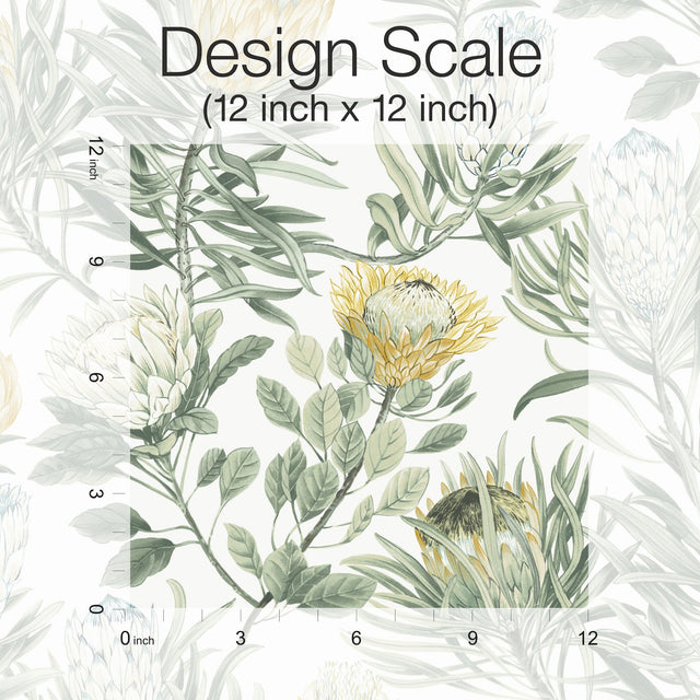 Protea White & Yellow Wallpaper with Floral Protea Motif - York BL1754