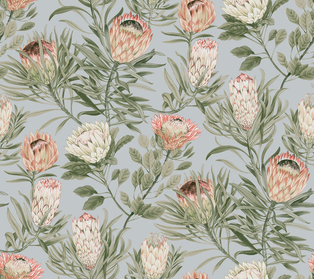Protea Dusty Blue & Coral Floral Non Woven Wallpaper - York BL1755