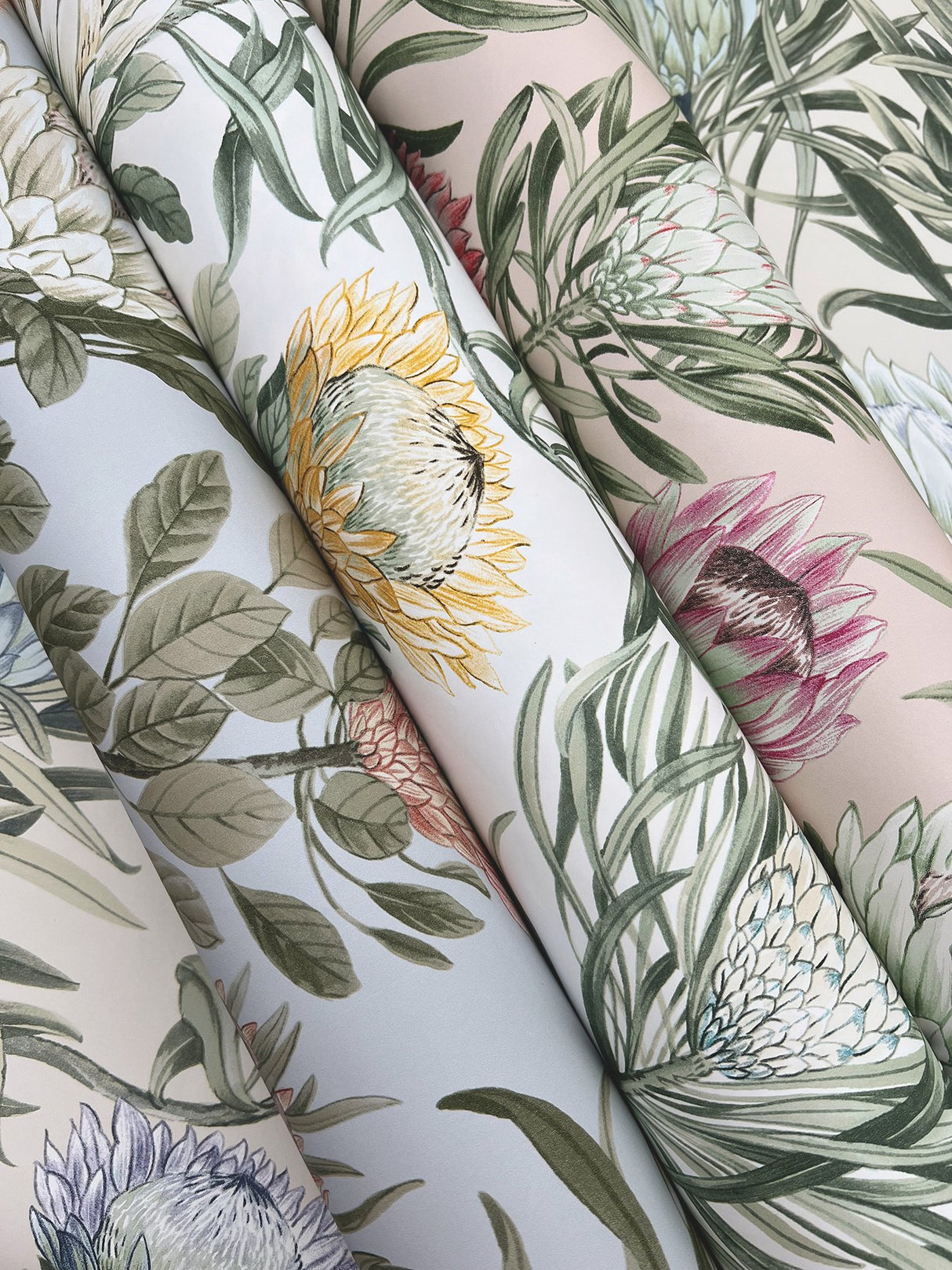 Protea Dusty Blue & Coral Floral Non Woven Wallpaper - York BL1755