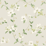 Dogwood Light Grey Wallpaper with Floral Vine Motif - York BL1762