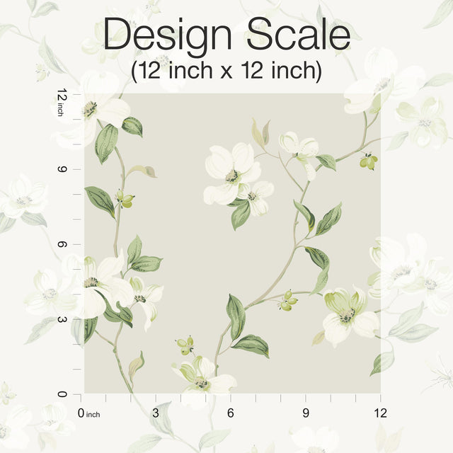 Dogwood Light Grey Wallpaper with Floral Vine Motif - York BL1762