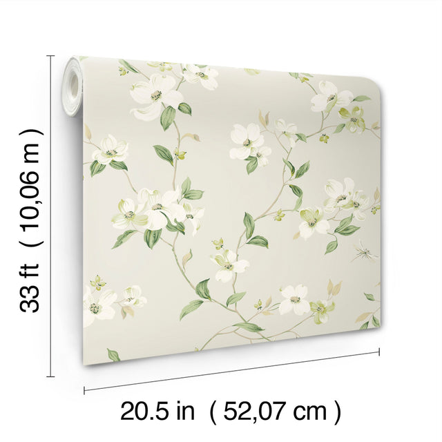 Dogwood Light Grey Wallpaper with Floral Vine Motif - York BL1762