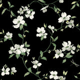 Dogwood Black Wallpaper with Floral Non Woven Pattern - York BL1764