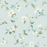 Dogwood Light Blue Wallpaper with Floral Dogwood Blooms Pattern - York BL1765