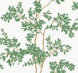 Lunaria Silhouette White & Green Botanical Ivy/Vines Wallpaper, Non Woven Matte - York BL1801