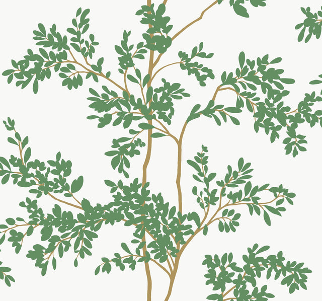 Lunaria Silhouette White & Green Botanical Ivy/Vines Wallpaper, Non Woven Matte - York BL1801