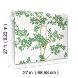 Lunaria Silhouette White & Green Botanical Ivy/Vines Wallpaper, Non Woven Matte - York BL1801