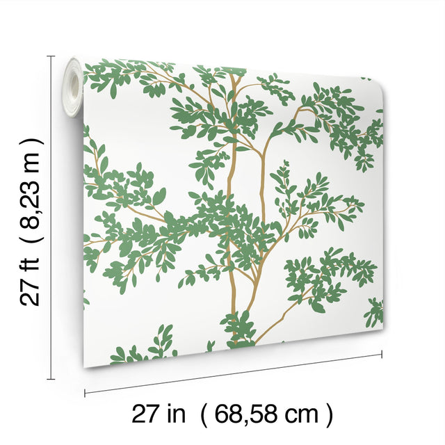 Lunaria Silhouette White & Green Botanical Ivy/Vines Wallpaper, Non Woven Matte - York BL1801