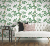 Lunaria Silhouette White & Green Botanical Ivy/Vines Wallpaper, Non Woven Matte - York BL1801
