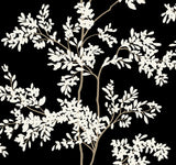 Lunaria Silhouette Black & White Wallpaper with Botanical Non Woven Drop Match - York BL1804