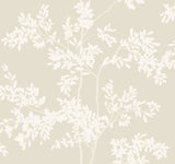 Lunaria Silhouette Light Taupe & White Botanical Wallpaper - York BL1805