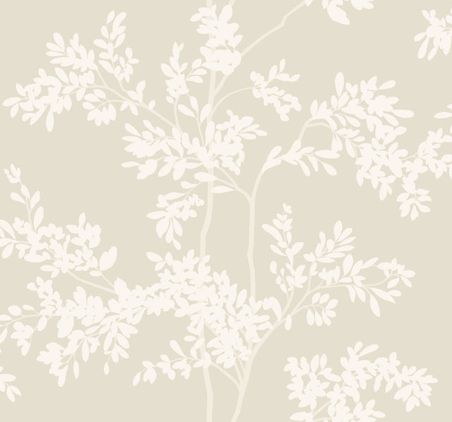 Lunaria Silhouette Light Taupe & White Botanical Wallpaper - York BL1805