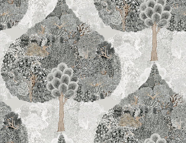 Mystic Forest Black Wallpaper with Bohemian Woodland Scenic - York BO6703