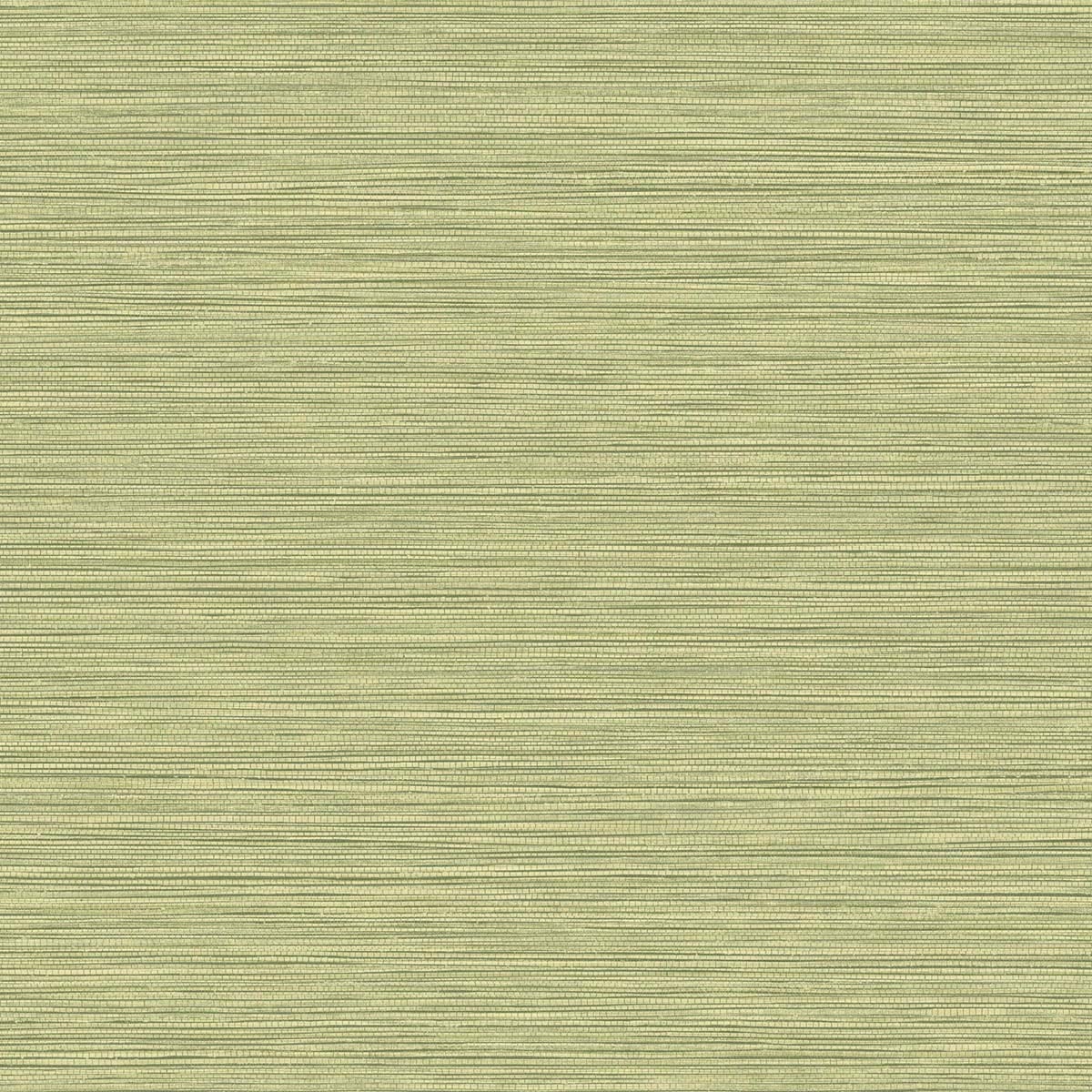 Grasslands faux grasscloth wallpaper in Lime Moss with matte finish