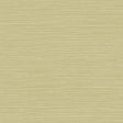 Coastal Hemp Aloe faux grasscloth texture wallpaper in soft green