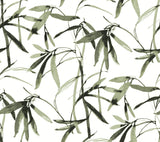 Bamboo Ink Green & Black Wallpaper with Botanical Watercolor Bamboo Motif - York BW3842