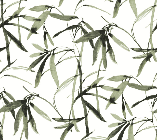Bamboo Ink Green & Black Wallpaper with Botanical Watercolor Bamboo Motif - York BW3842