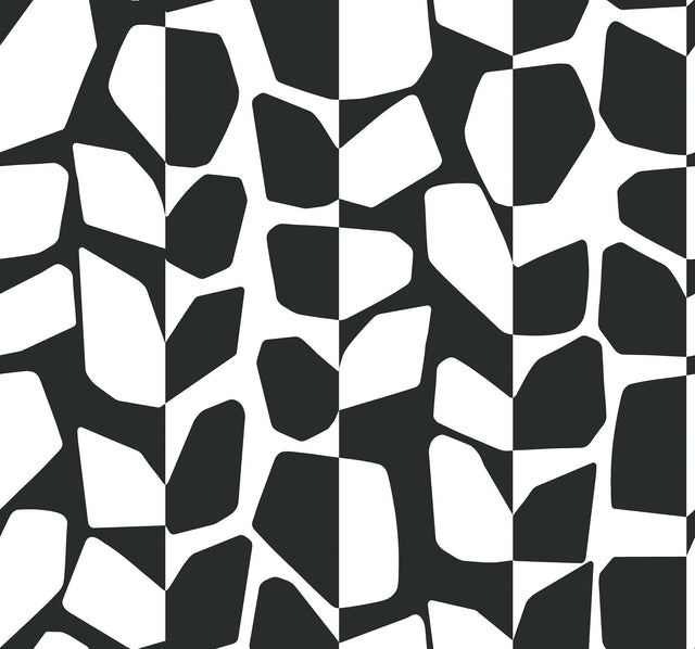 Primitive Vines Black & White Geometric Wallpaper - York BW3893